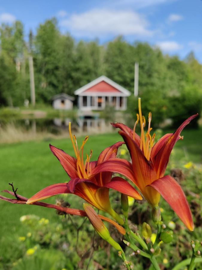 Hannunluhdan Lomamoekit Karijoki Exteriér fotografie