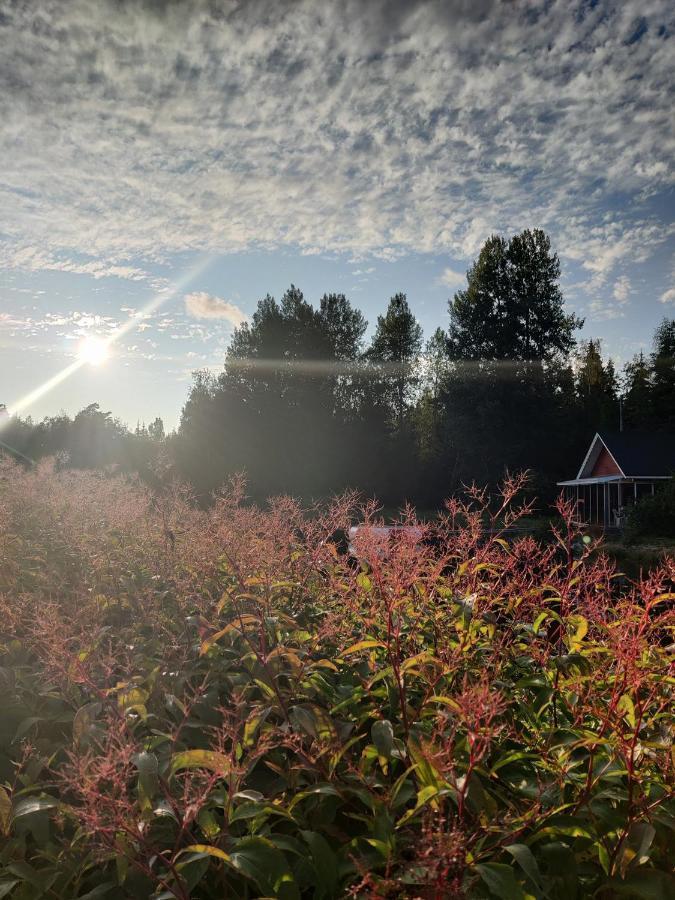 Hannunluhdan Lomamoekit Karijoki Exteriér fotografie
